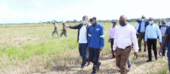 O Ministro de Agricultura e segurança alimentar escala à fábrica de descasque de arroz de Namacurra 