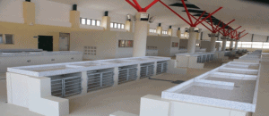 ZAMBÉZIA INVESTE NA CONSTRUÇÃO DE MERCADO DE PEIXE NO CHINDE ZAMBÉZIA INVESTE NA CONSTRUÇÃO DE MERCADO DE PEIXE NO CHINDE